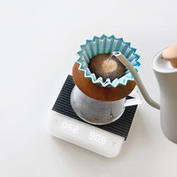 acaia